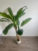 Bananen kunstboom + sierpot, Ophalen, Zo goed als nieuw, Binnen