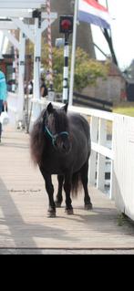 Mentuig gezocht shet, Dieren en Toebehoren, Paarden en Pony's | Hoofdstellen en Tuigage, Ophalen of Verzenden