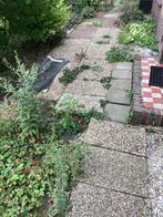 Gratis grindtegels en enkele stoeptegels, Tuin en Terras, Ophalen, Gebruikt, 10 m² of meer, Beton