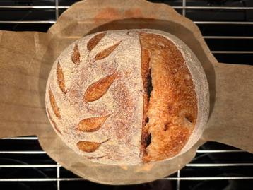 Biologische manitoba zuurdesem brood en starter beschikbaar voor biedingen