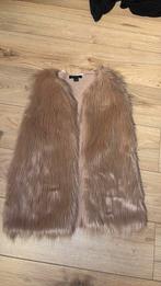 Bodywarmer maat m vaste prijs, Ophalen of Verzenden, Zo goed als nieuw, Maat 38/40 (M), Zwart