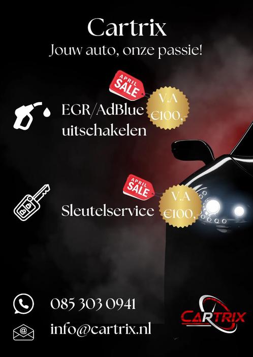 Chiptuning OP LOCATIE! AdBlue en EGR uitschrijven., Auto diversen, Tuning en Styling, Ophalen