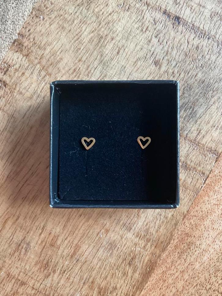 Flat Piercings Hartje - Zo goed als nieuw!, Sieraden, Tassen en Uiterlijk, Oorbellen, Zo goed als nieuw, Knopjes of Stekers, Overige materialen