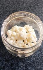 Biologische melkkefir melk kefir kephir kefer plant Nijmegen, Ophalen