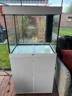 juwel lido 200, Dieren en Toebehoren, Vissen | Aquaria en Toebehoren, Ophalen, Gebruikt, Leeg aquarium