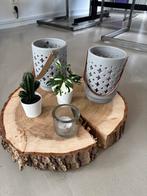 Boomstam schijf  decoratie, Huis en Inrichting, Ophalen of Verzenden, Hout
