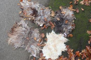 Schapenvacht gevilt Wiek en Mik 2 beschikbaar voor biedingen