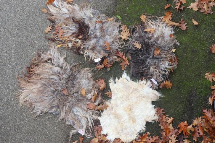 Schapenvacht gevilt Wiek en Mik 2, Huis en Inrichting, Woonaccessoires | Plaids en Woondekens, Nieuw, Ophalen of Verzenden