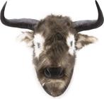 By Boo Buffelkop, Ophalen of Verzenden, Nieuw