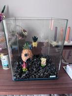 Complete vissenkom, Ophalen of Verzenden, Zo goed als nieuw, Grind, Zand of Voedingsbodem