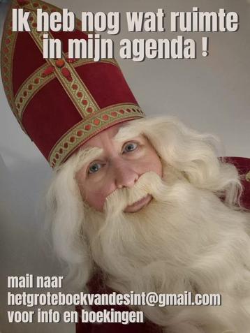 Sinterklaas op bezoek beschikbaar voor biedingen