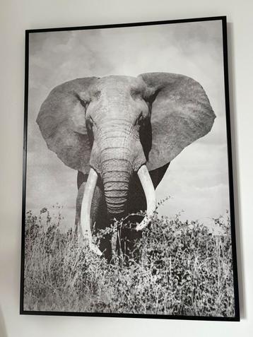 3 poster with frame beschikbaar voor biedingen