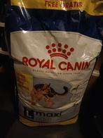 Royal Canin maxi, Dieren en Toebehoren, Dierenvoeding, Ophalen, Hond