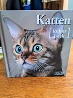 Katten kubus boek, Boeken, Ophalen of Verzenden, Zo goed als nieuw, Katten