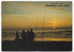 Ouddorp aan Zee Gelopen Ansichtkaart ( 195 ), Ophalen of Verzenden, 1980 tot heden, Gelopen, Zuid-Holland
