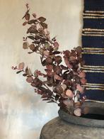 NIEUW PRACHTIGE EUCALYPTUS tak bijna echt silka flowers, Huis en Inrichting, Binnen, Nieuw, Ophalen of Verzenden, Nvt