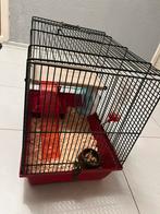 Gratis Hamster, Dieren en Toebehoren, Minder dan 75 cm, Ophalen, Minder dan 60 cm, Hok