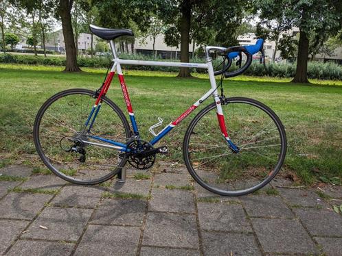 Panasonic Team Holland 63cm frame, Fietsen en Brommers, Fietsonderdelen, Gebruikt, Racefiets, Frame, Ophalen