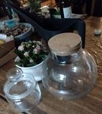Glazen stolp potten potten kurk planten, Ophalen of Verzenden, Zo goed als nieuw