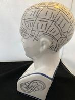 vintage phenology head, Antiek en Kunst, Ophalen of Verzenden