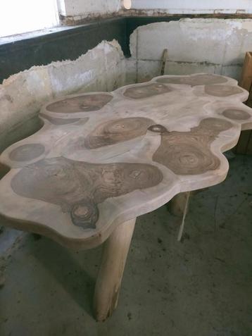 Tafelbladen boomstam schijven planken diverse soorten hout  beschikbaar voor biedingen