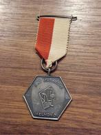 201 Sint Leonardus Helmond medaille, Ophalen of Verzenden, Overige materialen