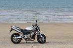 Honda Hornet CB600F, Motoren, Motoren | Honda, 4 cilinders, Particulier, Meer dan 35 kW, 600 cc