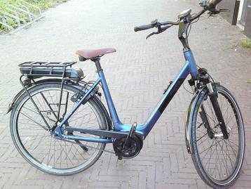 PEGASUS Siena E7F Plus Belt – 55 cm beschikbaar voor biedingen