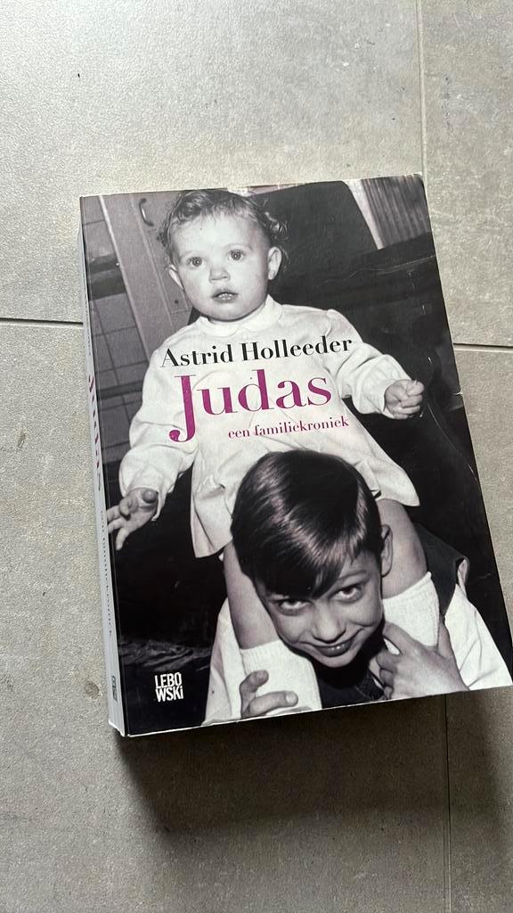 Astrid Holleeder - Judas, Boeken, Detectives, Zo goed als nieuw, Ophalen of Verzenden