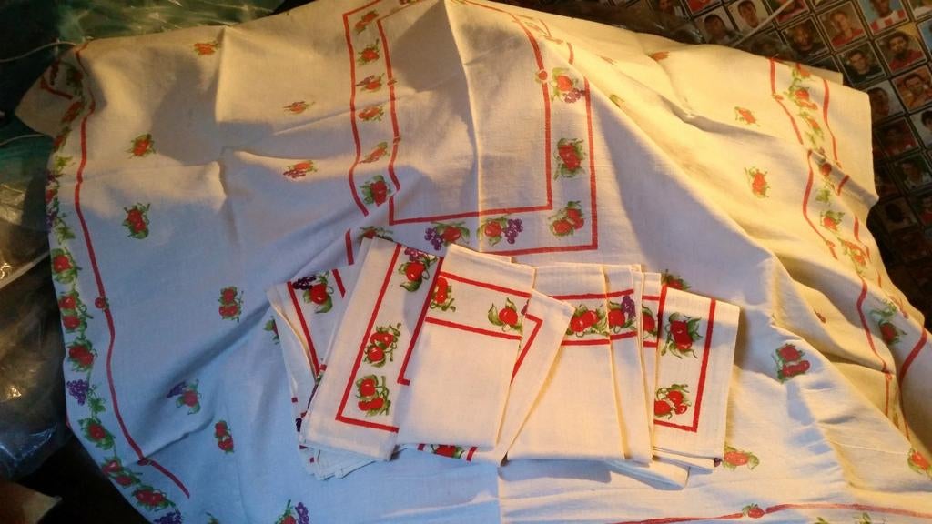 Mooi Tafelkleed met 6 doeken. Nieuw., Ophalen of Verzenden, Nieuw