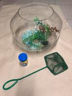 Glazen vissenkom compleet, Dieren en Toebehoren, Vissen | Aquaria en Toebehoren, Ophalen, Zo goed als nieuw, Leeg aquarium