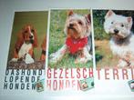 Het grote hondendossier, Ophalen of Verzenden, Gelezen, Honden