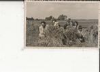 Westland Onbekend Familie verschuilt zich Fotokaart, Ophalen of Verzenden, 1920 tot 1940, Ongelopen, Zuid-Holland