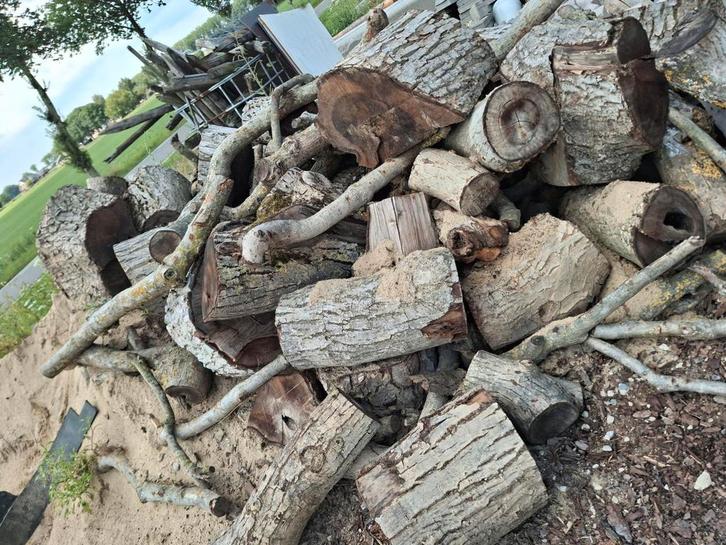 Partij notenhout, Tuin en Terras, Haardhout, Blokken, Overige houtsoorten, Ophalen