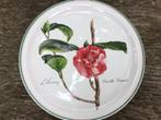 Mooi Vintage Bord Villeroy & Boch Camellia Variegata Bloem, Antiek en Kunst, Antiek | Servies los, Ophalen