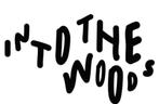 into the woods vrijdag tickets, Tickets en Kaartjes, Twee personen