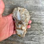 Vuistbijl Spiennes Neolithicum, Verzamelen, Mineralen en Fossielen, Ophalen of Verzenden, Overige typen
