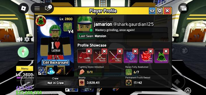 Blox fruits-INSANE stacked- 17 perms - 6/7 V4 BESCRHIJVING!!, Computers en Software, Servers, Zo goed als nieuw, Ophalen of Verzenden