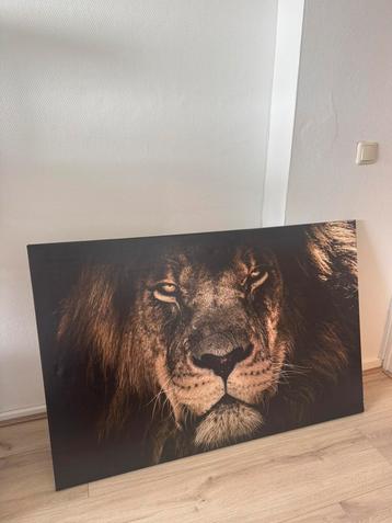 leeuw canvasdoek beschikbaar voor biedingen