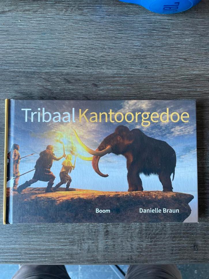 Tribaal Kantoorgedoe - Danielle Braun, Boeken, Overige Boeken, Zo goed als nieuw, Ophalen of Verzenden