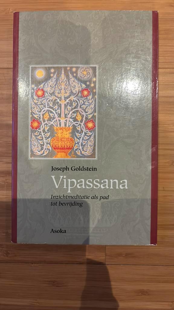 J. Goldstein - Vipassana, Boeken, Filosofie, Zo goed als nieuw, Ophalen of Verzenden