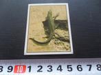 sticker panini WWF red de natuur #334 hagedis, Ophalen, Zo goed als nieuw