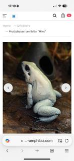 Ben op zoek naar een volwassen vrouw mint, 0 tot 2 jaar