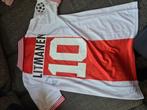 Litmanen ajax voetbalshirt, Ophalen of Verzenden, Zo goed als nieuw, Shirt
