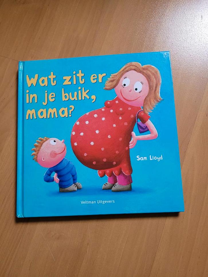 Wat zit er in je buik, mama? - Sam Lloyd, Boeken, Kinderboeken | Baby's en Peuters, Zo goed als nieuw, 2 tot 3 jaar, Uitklap-, Voel- of Ontdekboek