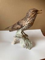 Goebel zanglijster, Ophalen of Verzenden, Zo goed als nieuw, Dier