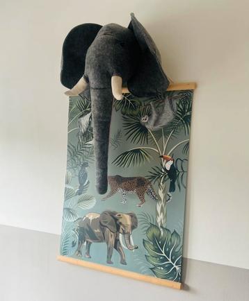 Wild en Soft Olifantenkop beschikbaar voor biedingen