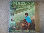 Indonesia apa kabar? - oude tradities, nieuwe tijden (1992), Ophalen of Verzenden, Reisgids of -boek, Azië, Gelezen