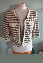 Didi vest, Kleding | Dames, Didi, Ophalen of Verzenden, Zo goed als nieuw, Maat 38/40 (M)