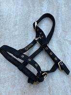 Veulenhalster Kieffer, Dieren en Toebehoren, Paarden en Pony's | Overige Paardenspullen, Ophalen of Verzenden, Zo goed als nieuw
